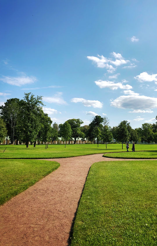 Lush green lawn